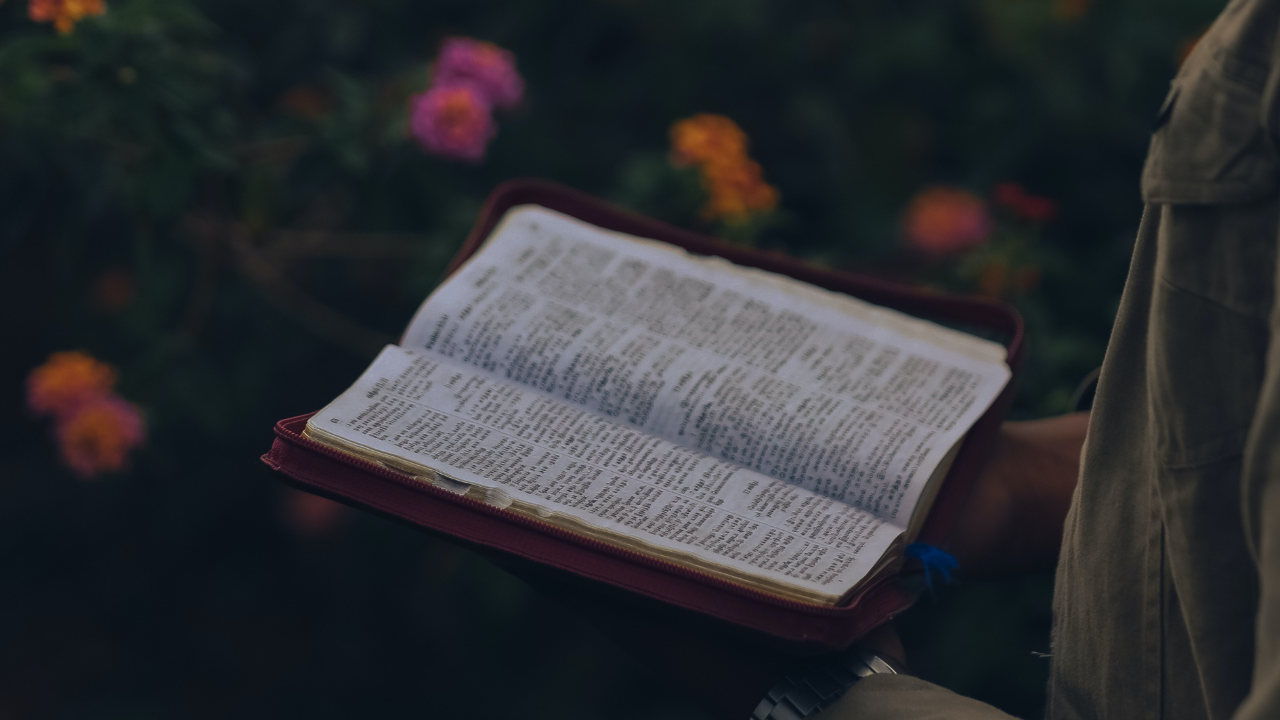 Cómo leer la biblia por primera vez Mujeres Victoriosas