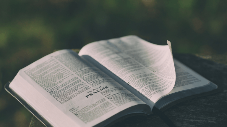 6 increíbles pasos para estudiar la Biblia
