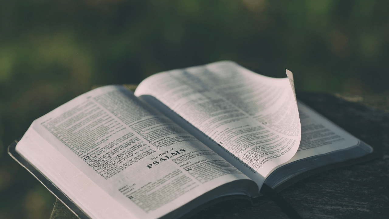 Cómo estudiar la Biblia - 6 pasos