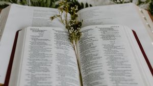 ¿Cómo leer la biblia para entenderla?